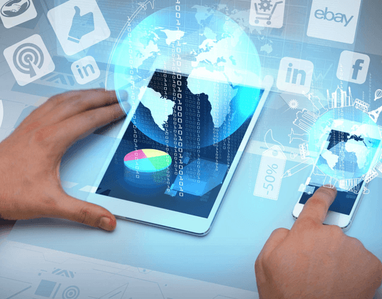 Web Design & Development